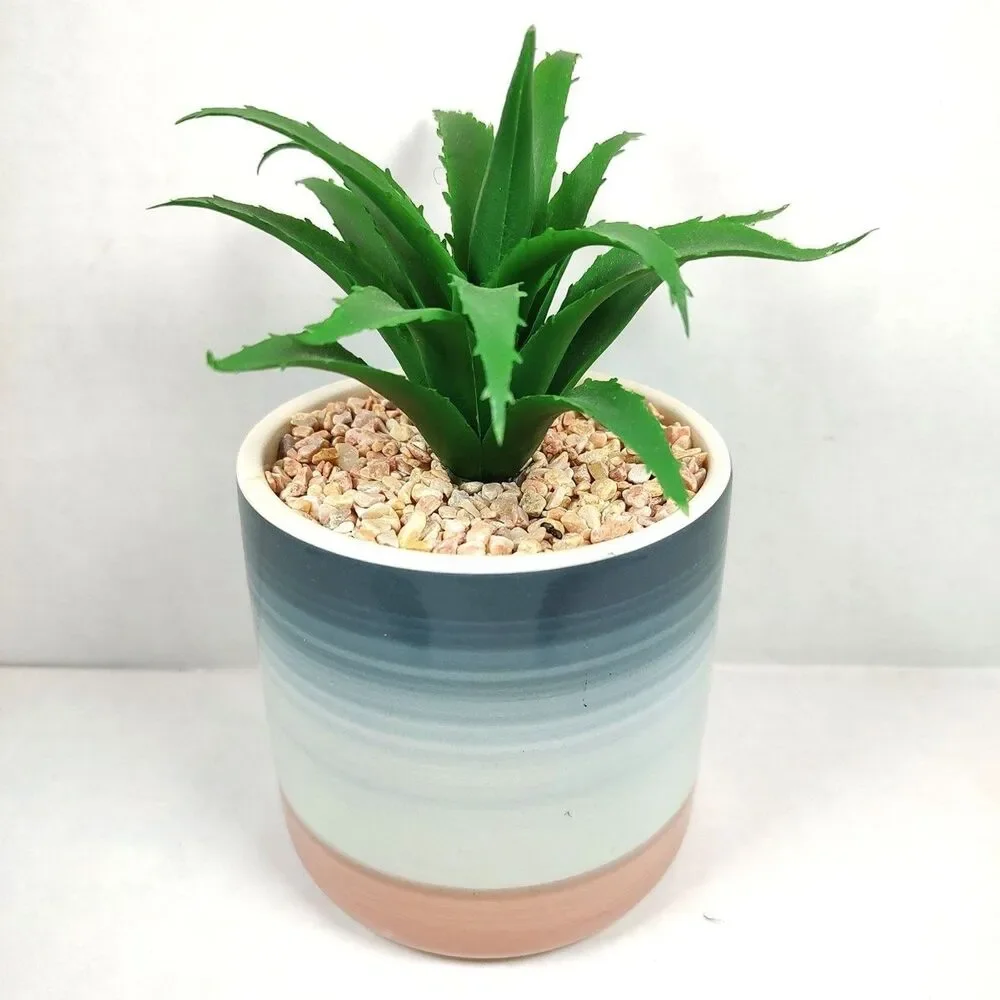 Artificial Succulent Potted Houseplant Cobat Blue White Pink Ceramic Pebbles New